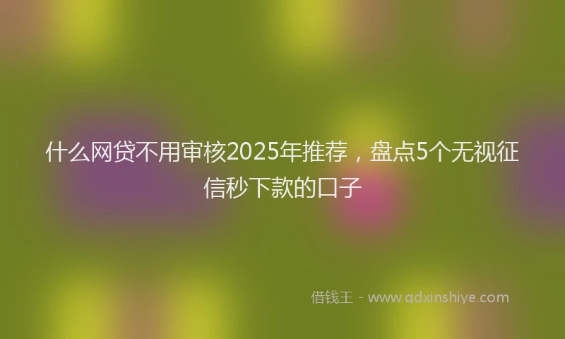 什么网贷不用审核2025年推荐，盘点5个无视征信秒下款的口子