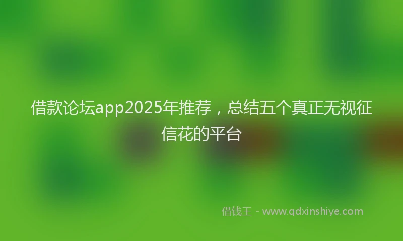 借款论坛app2025年推荐，总结五个真正无视征信花的平台