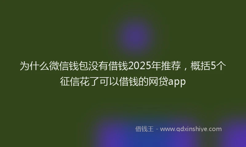 为什么微信钱包没有借钱2025年推荐，概括5个征信花了可以借钱的网贷app