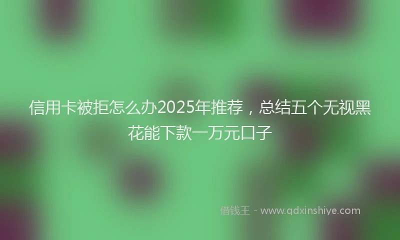 信用卡被拒怎么办2025年推荐，总结五个无视黑花能下款一万元口子