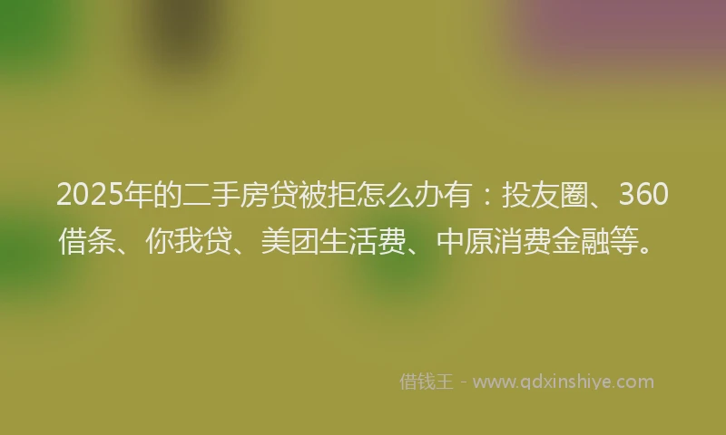 2025年的二手房贷被拒怎么办有：投友圈、360借条、你我贷、美团生活费、中原消费金融等。