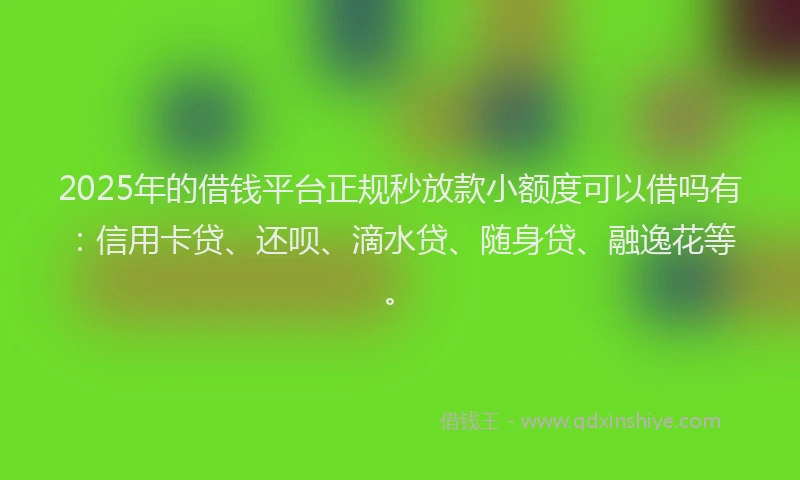 2025年的借钱平台正规秒放款小额度可以借吗有：信用卡贷、还呗、滴水贷、随身贷、融逸花等。