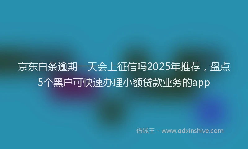 京东白条逾期一天会上征信吗2025年推荐，盘点5个黑户可快速办理小额贷款业务的app