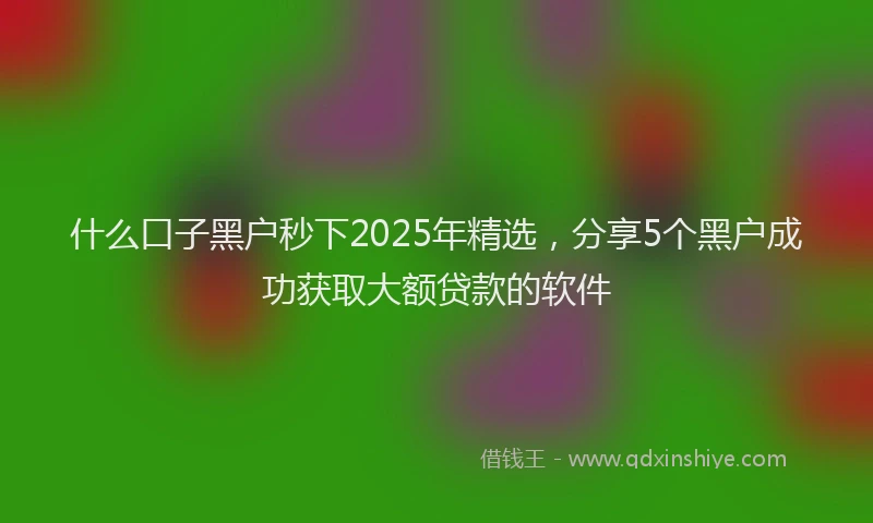 什么口子黑户秒下2025年精选，分享5个黑户成功获取大额贷款的软件