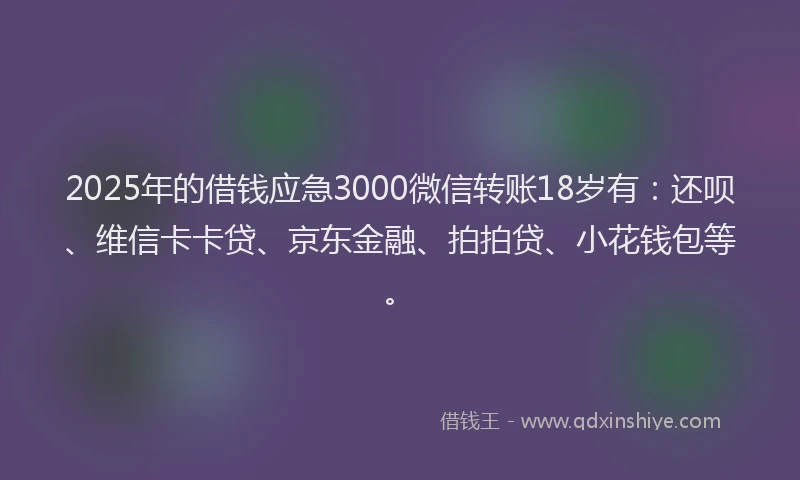 2025年的借钱应急3000微信转账18岁有：还呗、维信卡卡贷、京东金融、拍拍贷、小花钱包等。