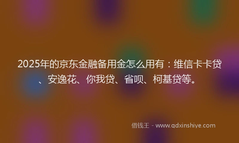2025年的京东金融备用金怎么用有：维信卡卡贷、安逸花、你我贷、省呗、柯基贷等。