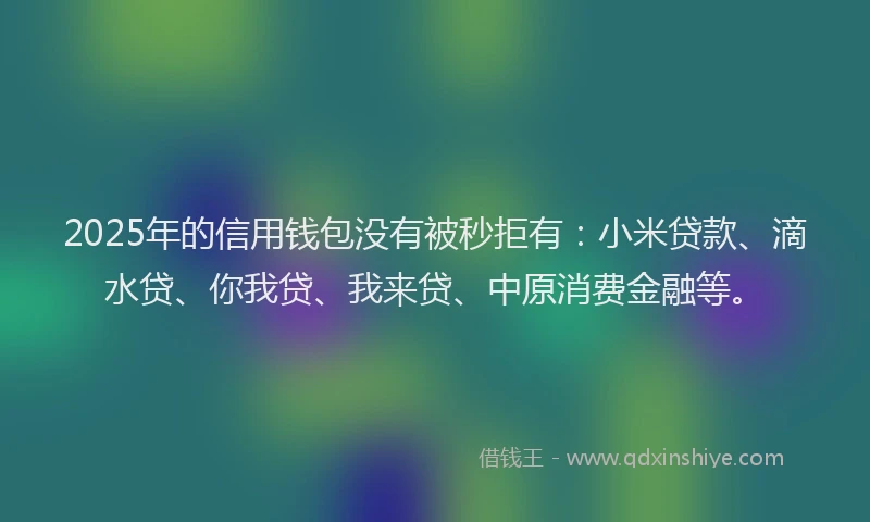 2025年的信用钱包没有被秒拒有：小米贷款、滴水贷、你我贷、我来贷、中原消费金融等。