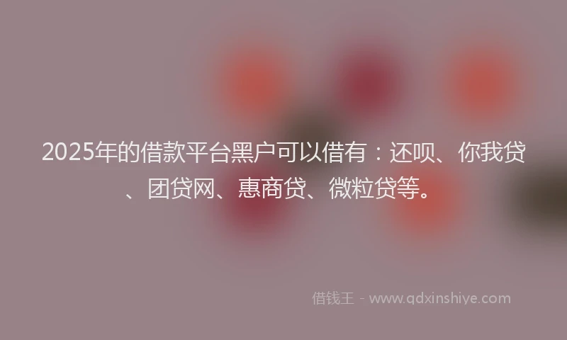 2025年的借款平台黑户可以借有：还呗、你我贷、团贷网、惠商贷、微粒贷等。