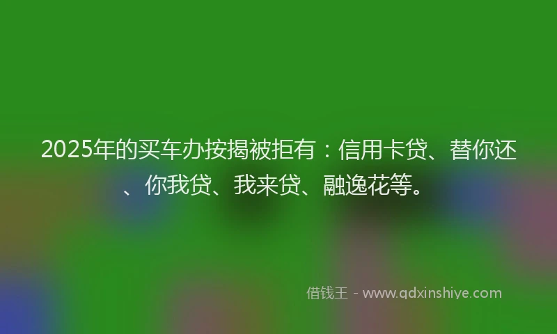 2025年的买车办按揭被拒有：信用卡贷、替你还、你我贷、我来贷、融逸花等。