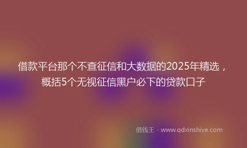 借款平台那个不查征信和大数据的2025年精选，概括5个无视征信黑户必下的贷款口子