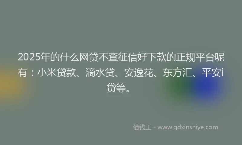 2025年的什么网贷不查征信好下款的正规平台呢有：小米贷款、滴水贷、安逸花、东方汇、平安i贷等。