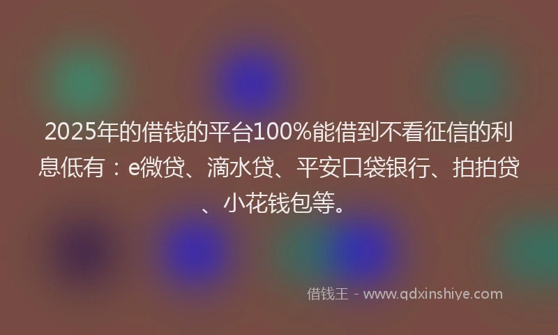 2025年的借钱的平台100%能借到不看征信的利息低有：e微贷、滴水贷、平安口袋银行、拍拍贷、小花钱包等。