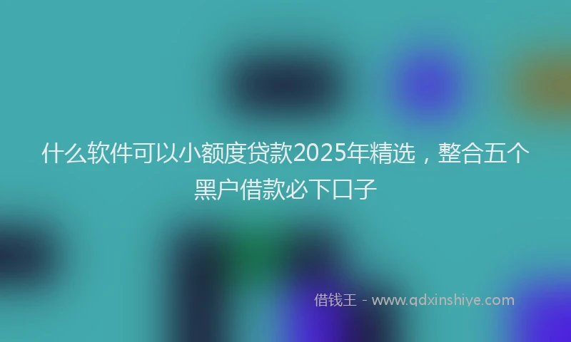什么软件可以小额度贷款2025年精选，整合五个黑户借款必下口子