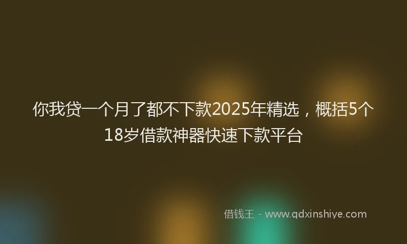 你我贷一个月了都不下款2025年精选，概括5个18岁借款神器快速下款平台