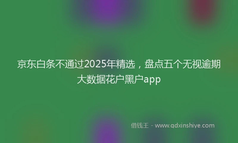 京东白条不通过2025年精选，盘点五个无视逾期大数据花户黑户app