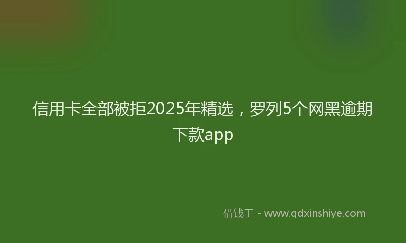 信用卡全部被拒2025年精选，罗列5个网黑逾期下款app