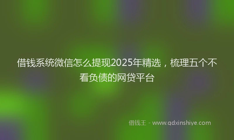 借钱系统微信怎么提现2025年精选，梳理五个不看负债的网贷平台