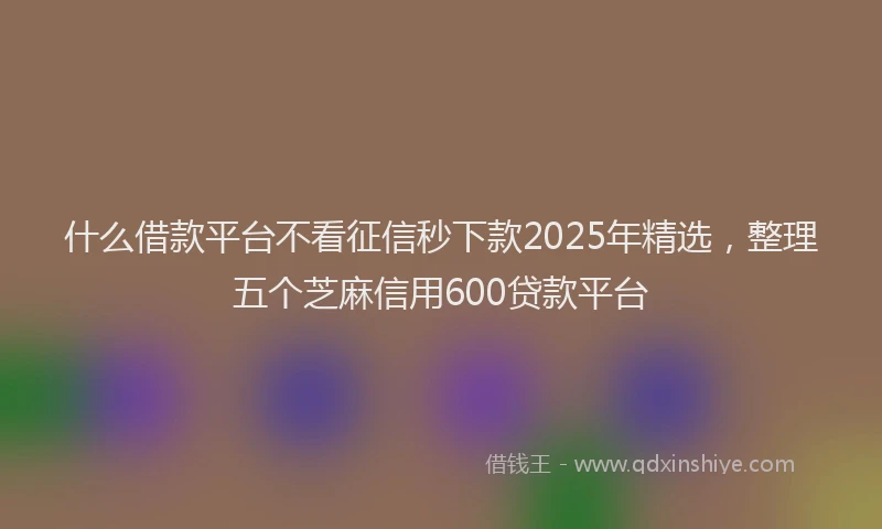 什么借款平台不看征信秒下款2025年精选，整理五个芝麻信用600贷款平台