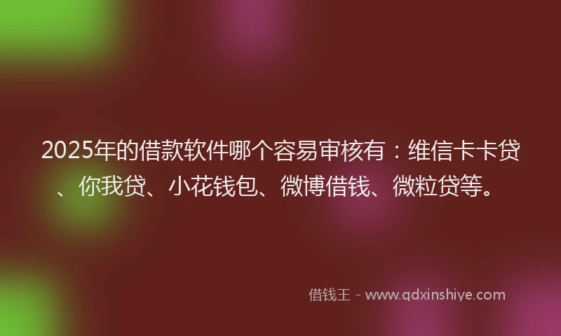 2025年的借款软件哪个容易审核有：维信卡卡贷、你我贷、小花钱包、微博借钱、微粒贷等。