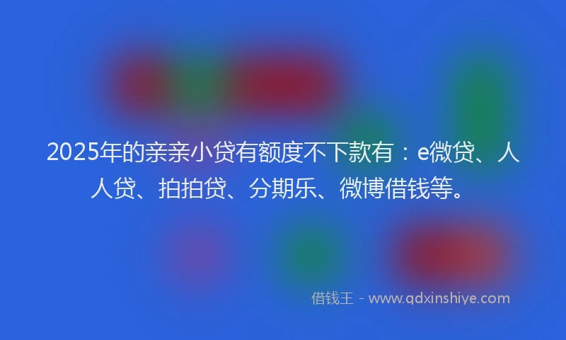 2025年的亲亲小贷有额度不下款有：e微贷、人人贷、拍拍贷、分期乐、微博借钱等。