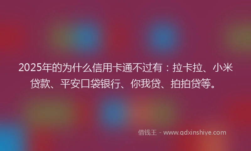 2025年的为什么信用卡通不过有：拉卡拉、小米贷款、平安口袋银行、你我贷、拍拍贷等。