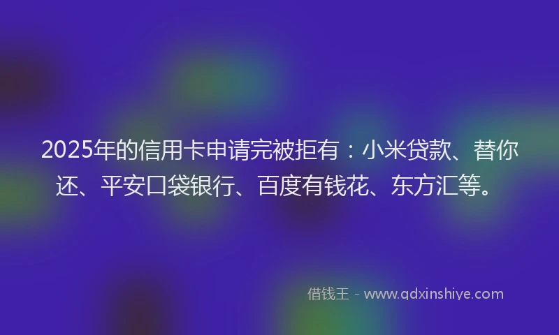 2025年的信用卡申请完被拒有：小米贷款、替你还、平安口袋银行、百度有钱花、东方汇等。