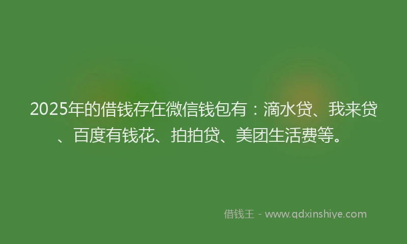 2025年的借钱存在微信钱包有：滴水贷、我来贷、百度有钱花、拍拍贷、美团生活费等。