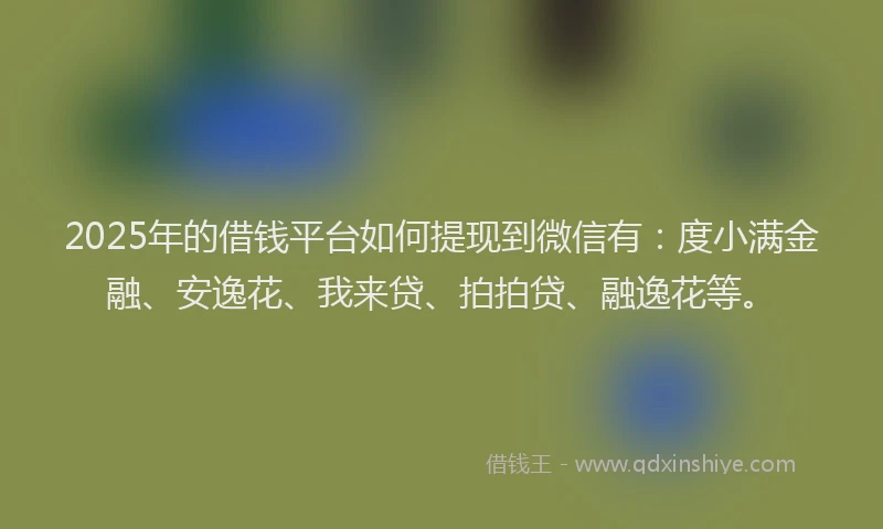 2025年的借钱平台如何提现到微信有：度小满金融、安逸花、我来贷、拍拍贷、融逸花等。
