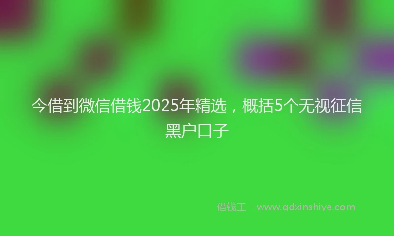 今借到微信借钱2025年精选，概括5个无视征信黑户口子