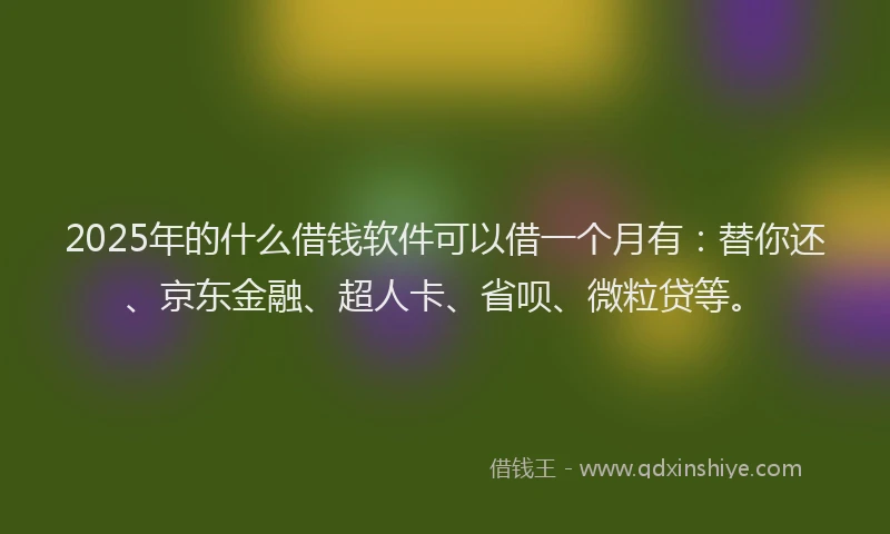 2025年的什么借钱软件可以借一个月有：替你还、京东金融、超人卡、省呗、微粒贷等。