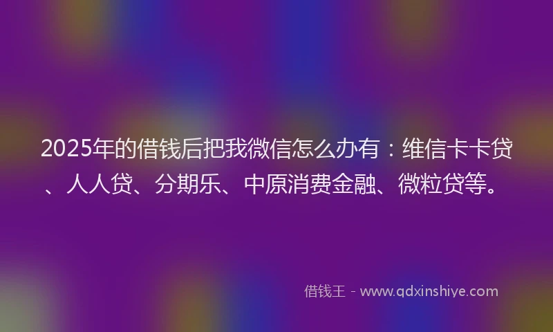 2025年的借钱后把我微信怎么办有：维信卡卡贷、人人贷、分期乐、中原消费金融、微粒贷等。