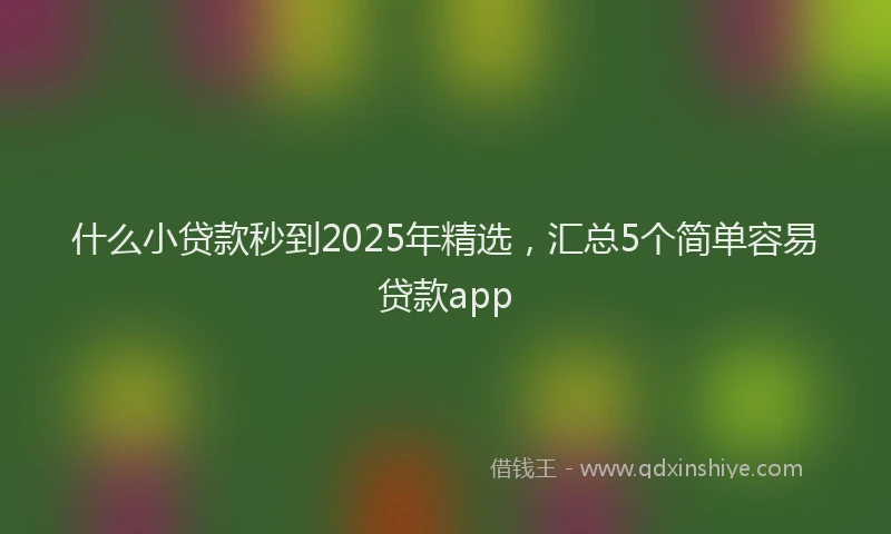 什么小贷款秒到2025年精选，汇总5个简单容易贷款app