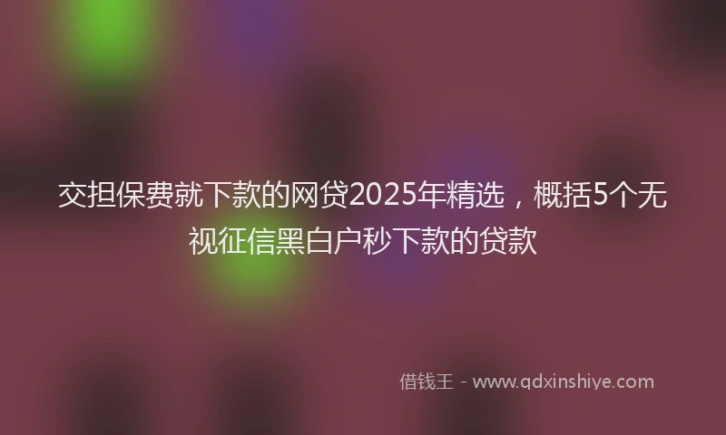 交担保费就下款的网贷2025年精选，概括5个无视征信黑白户秒下款的贷款