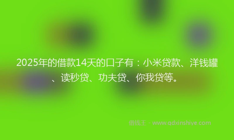 2025年的借款14天的口子有：小米贷款、洋钱罐、读秒贷、功夫贷、你我贷等。