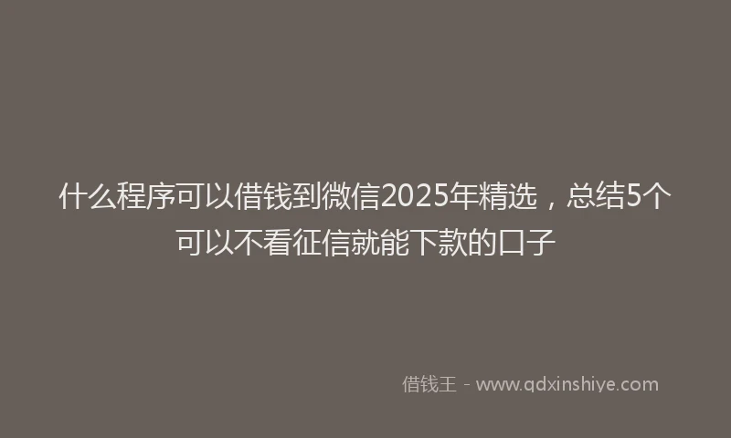 什么程序可以借钱到微信2025年精选，总结5个可以不看征信就能下款的口子