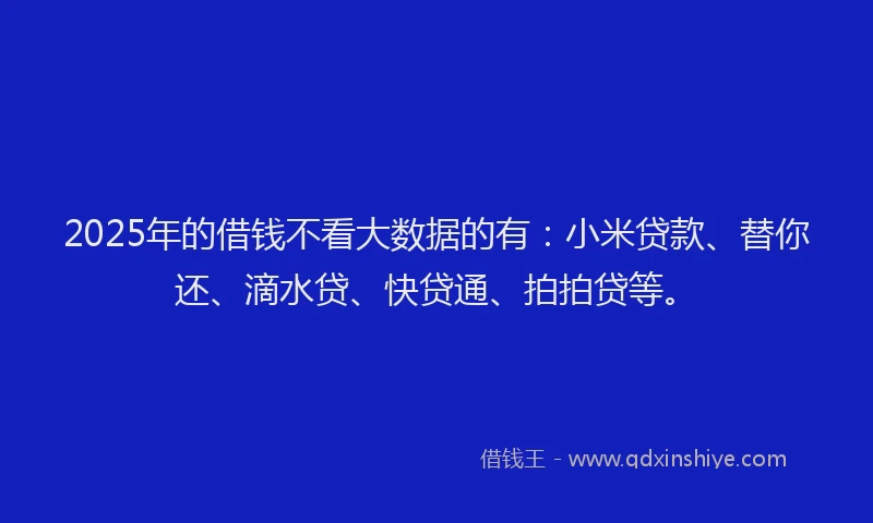 2025年的借钱不看大数据的有：小米贷款、替你还、滴水贷、快贷通、拍拍贷等。