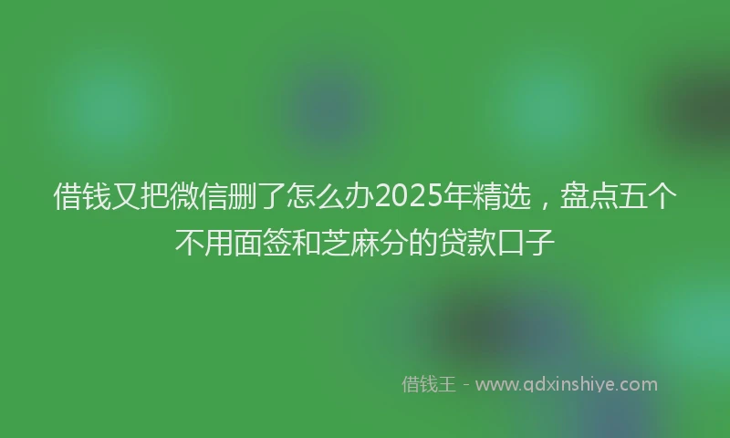 借钱又把微信删了怎么办2025年精选，盘点五个不用面签和芝麻分的贷款口子