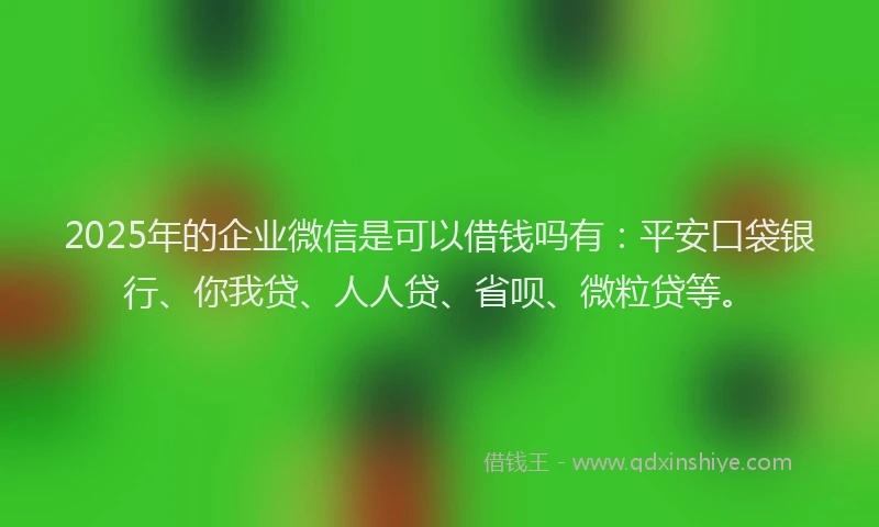2025年的企业微信是可以借钱吗有：平安口袋银行、你我贷、人人贷、省呗、微粒贷等。