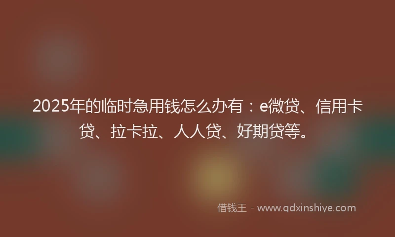 2025年的临时急用钱怎么办有：e微贷、信用卡贷、拉卡拉、人人贷、好期贷等。