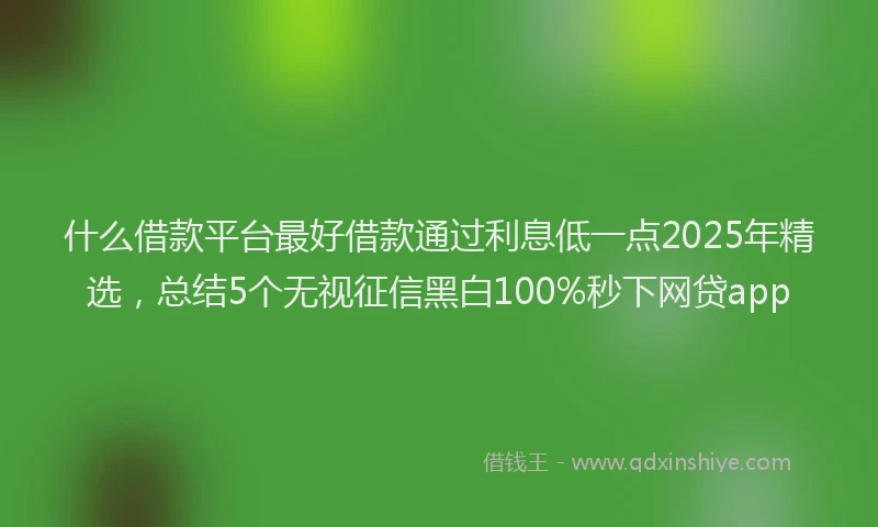 什么借款平台最好借款通过利息低一点2025年精选，总结5个无视征信黑白100%秒下网贷app