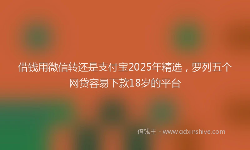 借钱用微信转还是支付宝2025年精选，罗列五个网贷容易下款18岁的平台