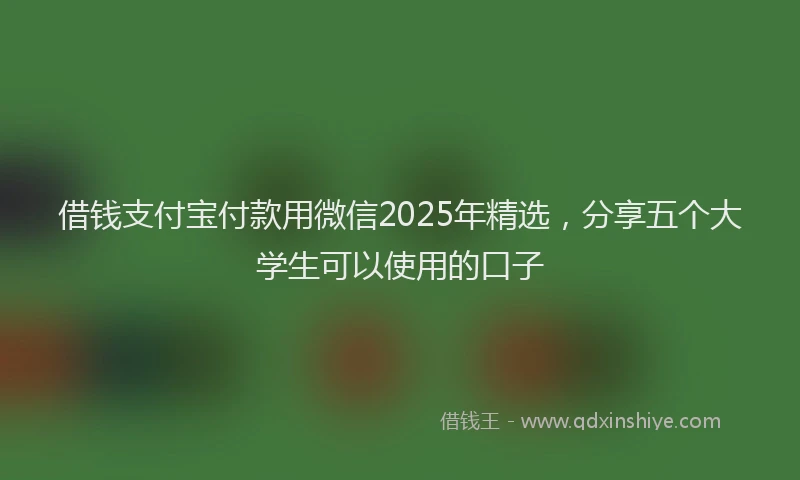 借钱支付宝付款用微信2025年精选，分享五个大学生可以使用的口子