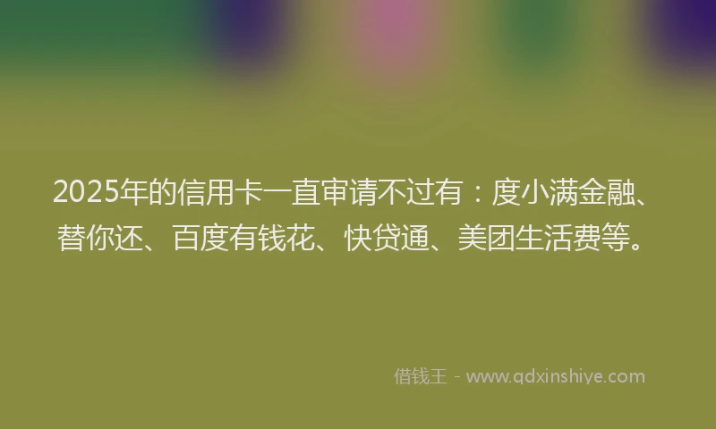 2025年的信用卡一直审请不过有：度小满金融、替你还、百度有钱花、快贷通、美团生活费等。
