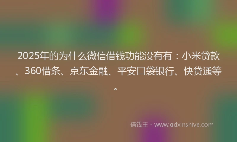 2025年的为什么微信借钱功能没有有：小米贷款、360借条、京东金融、平安口袋银行、快贷通等。