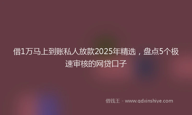借1万马上到账私人放款2025年精选，盘点5个极速审核的网贷口子