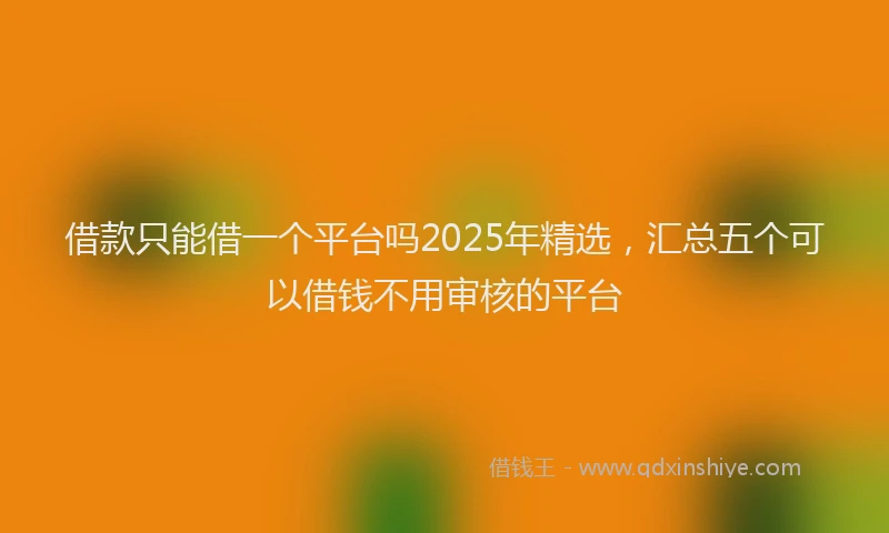 借款只能借一个平台吗2025年精选，汇总五个可以借钱不用审核的平台