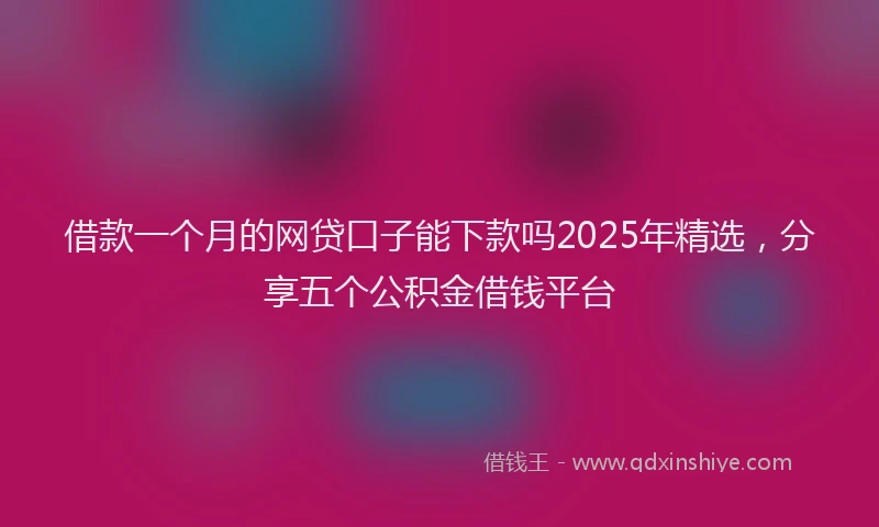 借款一个月的网贷口子能下款吗2025年精选，分享五个公积金借钱平台