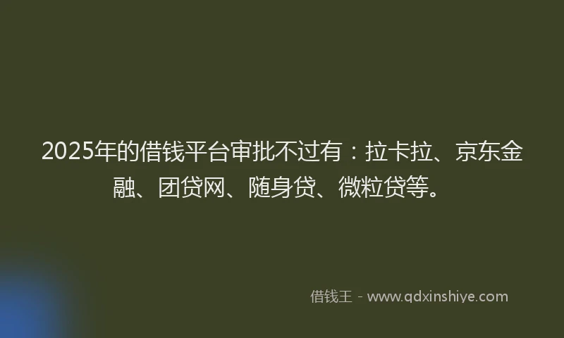 2025年的借钱平台审批不过有：拉卡拉、京东金融、团贷网、随身贷、微粒贷等。