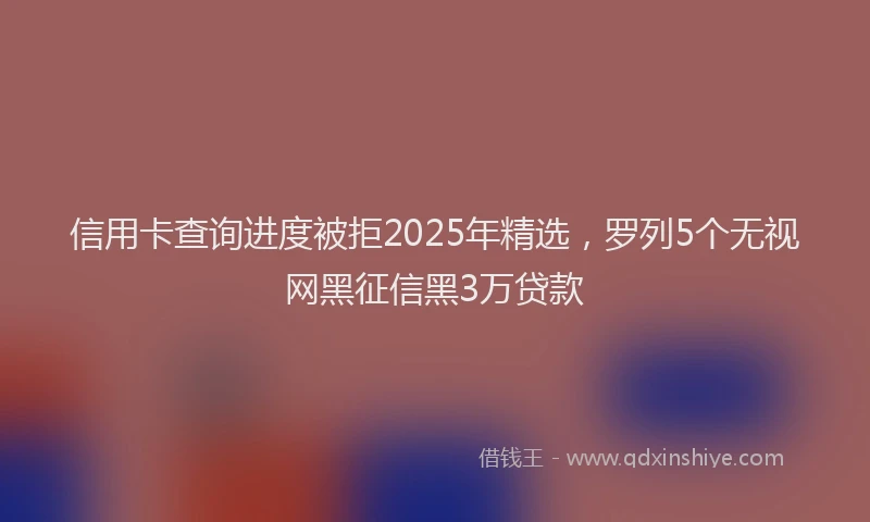 信用卡查询进度被拒2025年精选，罗列5个无视网黑征信黑3万贷款