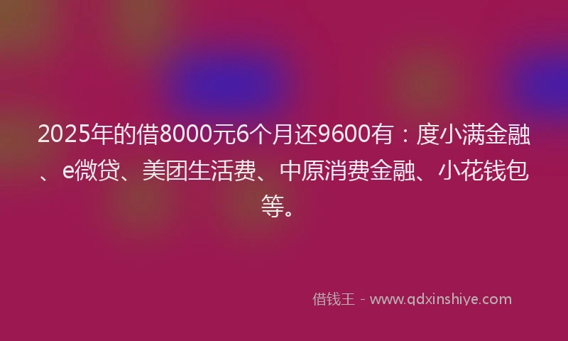 2025年的借8000元6个月还9600有：度小满金融、e微贷、美团生活费、中原消费金融、小花钱包等。